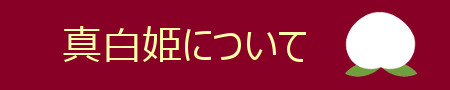 新種の桃「真白姫」へリンクするボタン